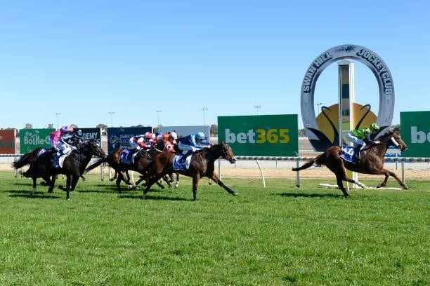 Fiasco Tess ridden by Damien Thornton wins the Jarrod Arentz Electrical & Solar Solutions Maiden Plate at Swan Hill Racecourse on August 22, 2021 in...