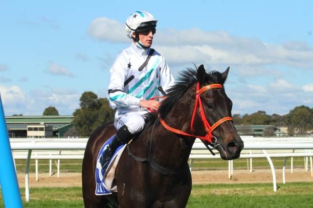 Want To Doo ridden by Will Gordon returns to the mounting yard after winning the Refridgetech Maiden Plate at Wangaratta Racecourse on August 21,...