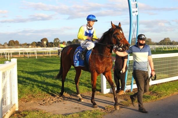 Fizzar ridden by Jack Martin returns to the mounting yard after winning the Mason Park 0 - 58 Handicap at Wangaratta Racecourse on August 21, 2021 in...