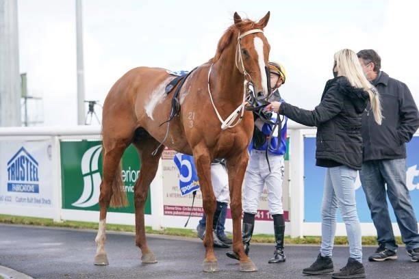Our Foxwedge after winning the Sportsbet Take a Sec Before You Bet BM58 Hcp at Sportsbet Pakenham Synthetic track on August 23, 2021 in Pakenham,...