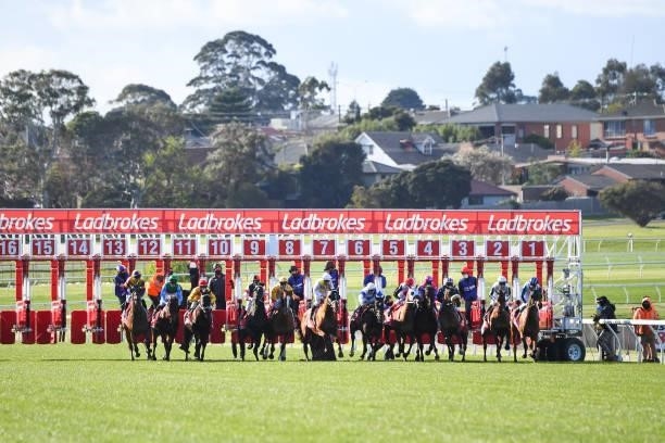 Horses jump from the barriers at the start of the Ladbrokes Easy Form Handicap at Ladbrokes Park Lakeside Racecourse on August 25, 2021 in...