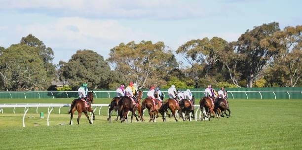 Horses race down the home straight on the first lap during the running of the Ladbrokes Easy Form Handicap at Ladbrokes Park Lakeside Racecourse on...