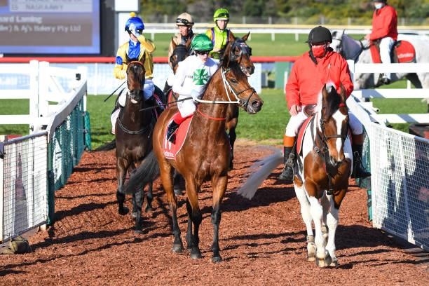The General ridden by Craig Williams returns to the mounting yard after winning the Ladbrokes Same Race Multi Handicap at Ladbrokes Park Lakeside...