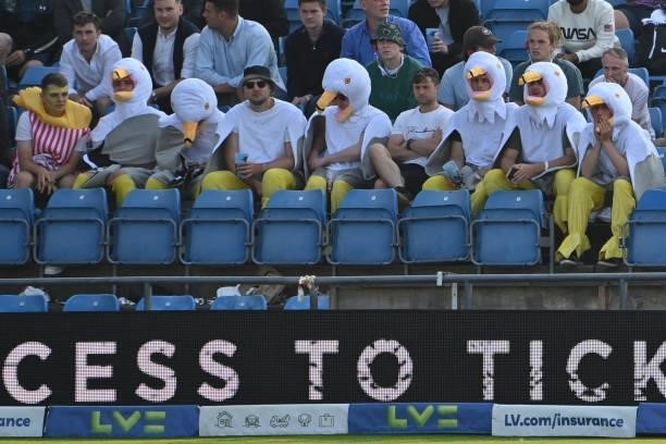 Spectators in seagull outfits watch the action on the first day of the third cricket Test match between England and India at Headingley cricket...