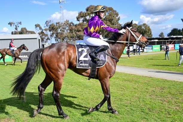 Equine Philosopher ridden by Mikaela Lawrence returns to the mounting yard after winning the Perricoota Station Maiden Plate at Echuca Racecourse on...