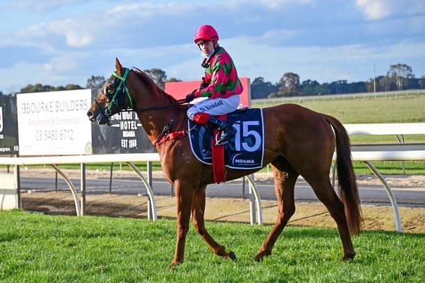 Expectant ridden by Dean Yendall returns to the mounting yard after winning the Think Water Echuca BM64 Handicap at Echuca Racecourse on August 26,...