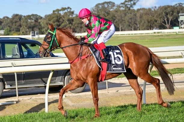 Expectant ridden by Dean Yendall returns to the mounting yard after winning the Think Water Echuca BM64 Handicap at Echuca Racecourse on August 26,...