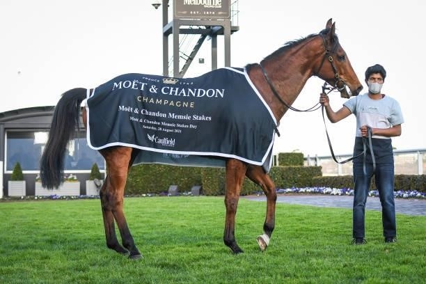 Behemoth after winning the Mo?t & Chandon Memsie Stakes, at Caulfield Racecourse on August 28, 2021 in Caulfield, Australia.
