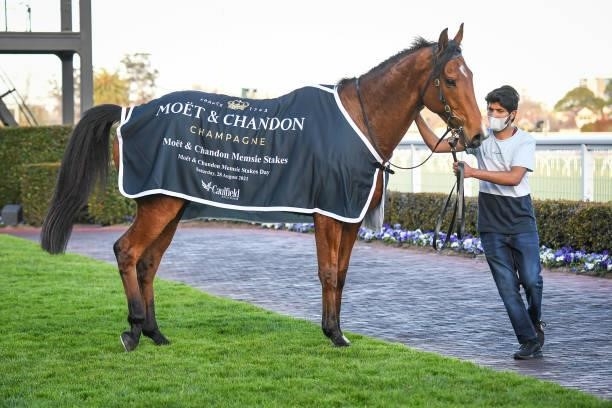 Behemoth after winning the Mo?t & Chandon Memsie Stakes, at Caulfield Racecourse on August 28, 2021 in Caulfield, Australia.