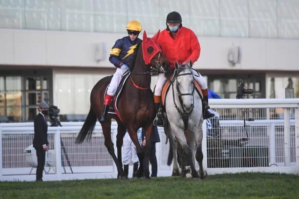 Tofane ridden by Craig Williams on the way to the barriers prior to the running of the Mo?t & Chandon Memsie Stakes at Caulfield Racecourse on August...