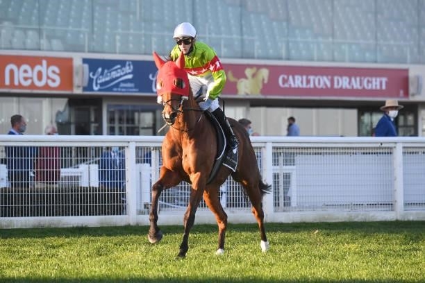 Sansom ridden by Ben Allen on the way to the barriers prior to the running of the Mo?t & Chandon Memsie Stakes at Caulfield Racecourse on August 28,...
