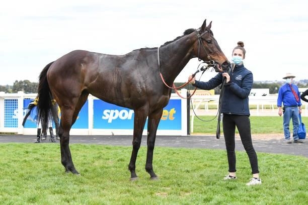 Valentino's On after winning the Sportsbet Take A Sec Before You Bet BM58 Handicap at Sportsbet-Ballarat Synthetic Racecourse on August 31, 2021 in...