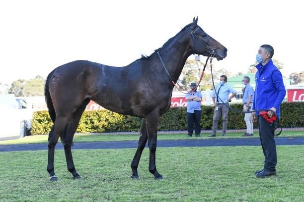 Flexible after winning the IVE > Print Handicap at Ladbrokes Park Lakeside Racecourse on September 01, 2021 in Springvale, Australia.” class=”wp-image-26″ width=”419″ height=”612″></a><figcaption>Flexible after winning the IVE > Print Handicap at Ladbrokes Park Lakeside Racecourse on September 01, 2021 in Springvale, Australia.</figcaption></figure>
</div>
<p class=