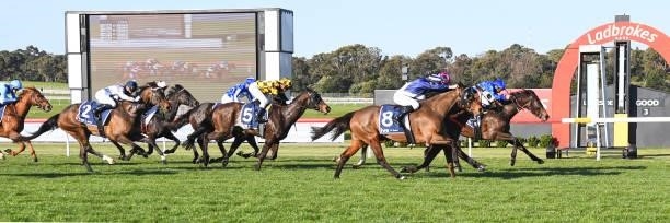Flexible ridden by Damien Oliver wins the IVE > Print Handicap at Ladbrokes Park Lakeside Racecourse on September 01, 2021 in Springvale, Australia.” class=”wp-image-26″ width=”419″ height=”612″></a><figcaption>Flexible ridden by Damien Oliver wins the IVE > Print Handicap at Ladbrokes Park Lakeside Racecourse on September 01, 2021 in Springvale, Australia.</figcaption></figure>
</div>
<p class=