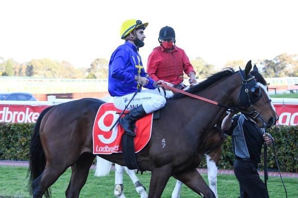 Crestani ridden by Rhys McLeod returns to the mounting yard after winning the Ladbrokes Handicap at Ladbrokes Park Lakeside Racecourse on September...