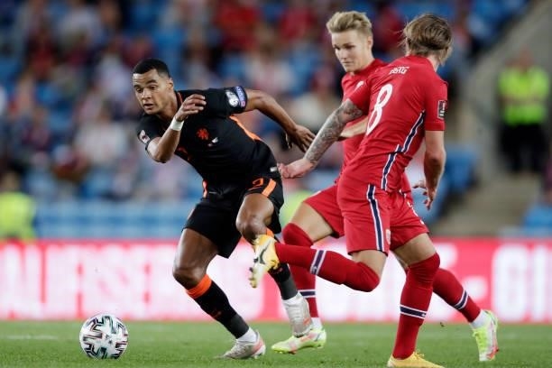 Cody Gakpo of Holland, Martin Odegaard of Norway during the World Cup Qualifier match between Norway v Holland at the Ullevaal Stadium on September...