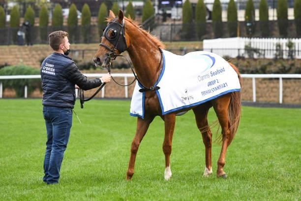 Superstorm after winning the Clamms Seafood Feehan Stakes at Moonee Valley Racecourse on September 04, 2021 in Moonee Ponds, Australia.