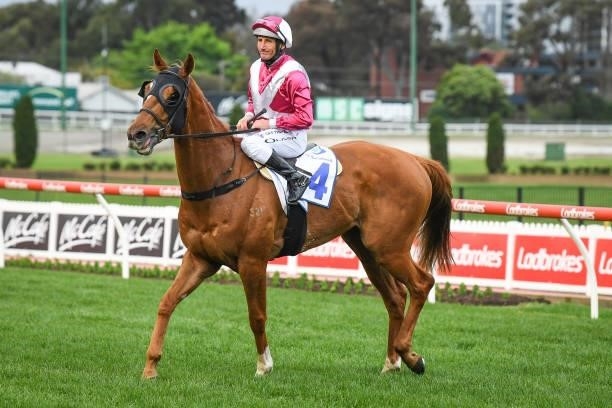 Damien Oliver returns to the mounting yard on Superstorm after winning the Clamms Seafood Feehan Stakes, at Moonee Valley Racecourse on September 04,...