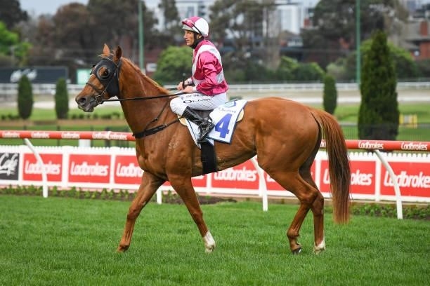 Damien Oliver returns to the mounting yard on Superstorm after winning the Clamms Seafood Feehan Stakes, at Moonee Valley Racecourse on September 04,...