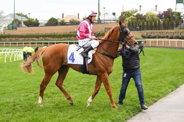 Superstorm ridden by Damien Oliver returns to the mounting yard after winning the Clamms Seafood Feehan Stakes at Moonee Valley Racecourse on...