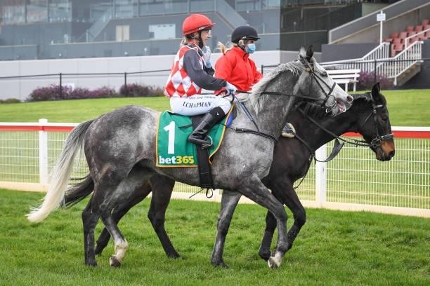 Tianni Chapman returns to the mounting yard on Grey Khan after winning the The Showman Tommy Baker BM64 Handicap, at Geelong Racecourse on September...