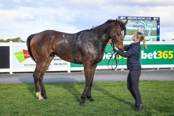 Seawhatyouthink after winning the Oz Equipment Rentals BM64 Handicap, at Geelong Racecourse on September 05, 2021 in Geelong, Australia.