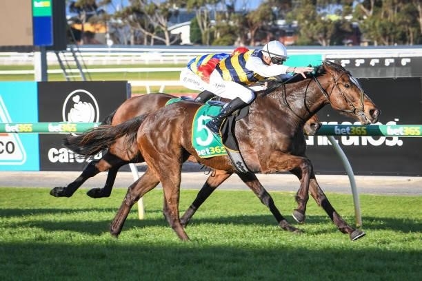 Seawhatyouthink ridden by Zac Spain wins the Oz Equipment Rentals BM64 Handicap at Geelong Racecourse on September 05, 2021 in Geelong, Australia.