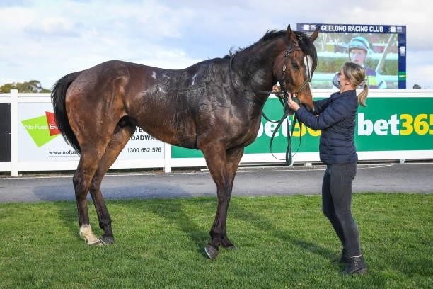 Seawhatyouthink after winning the Oz Equipment Rentals BM64 Handicap, at Geelong Racecourse on September 05, 2021 in Geelong, Australia.