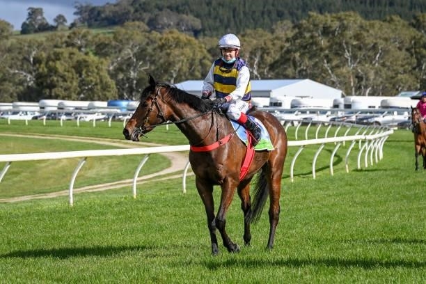 Pankhurst ridden by Dean Yendall returns to scale after winning the Helloworld Portland Maiden Plate at Casterton Racecourse on September 05, 2021 in...