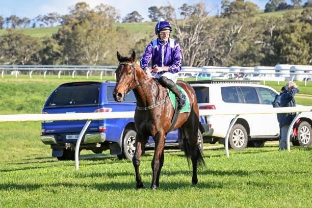 Aspen Colorado ridden by Declan Bates returns to scale after winning the Heywood Stockfeeds Maiden Plate at Casterton Racecourse on September 05,...