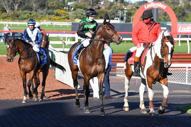 Linas Legend ridden by Damian Lane returns to the mounting yard after winning the Tile Importer Handicap at Ladbrokes Park Hillside Racecourse on...