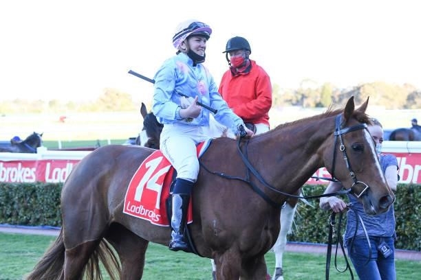 Bea Tempted ridden by Tahlia Hope returns to the mounting yard after winning the MRC Super Box Handicap at Ladbrokes Park Hillside Racecourse on...