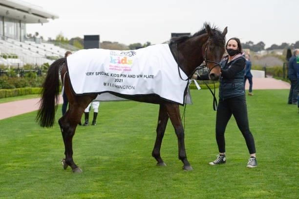 Floating Artist after winning the Very Special Kids Pin and Win Plate at Flemington Racecourse on September 11, 2021 in Flemington, Australia.
