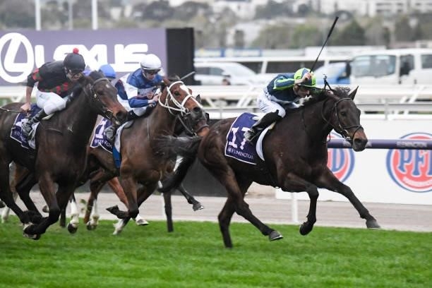 Floating Artist ridden by Teodore Nugent wins the Very Special Kids Pin and Win Plate at Flemington Racecourse on September 11, 2021 in Flemington,...
