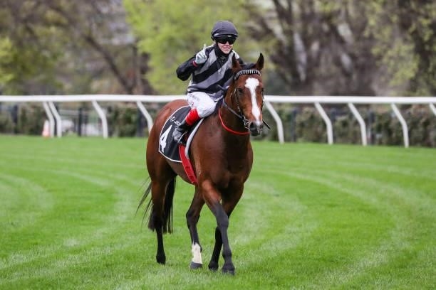 Splintex ridden by Craig Williams returns to the mounting yard after winning the Lexus Bobbie Lewis Quality at Flemington Racecourse on September 11,...