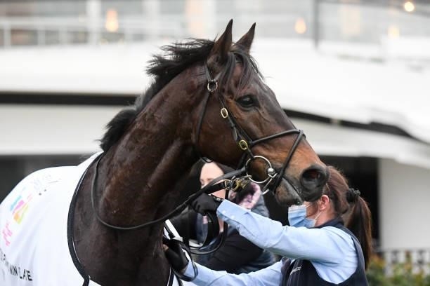 Floating Artist after winning the Very Special Kids Pin and Win Plate at Flemington Racecourse on September 11, 2021 in Flemington, Australia.