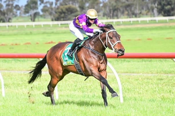 Equine Philosopher ridden by Mikaela Lawrence wins the Buloke Plumbing 0 - 58 Handicap at Donald Racecourse on September 12, 2021 in Donald,...
