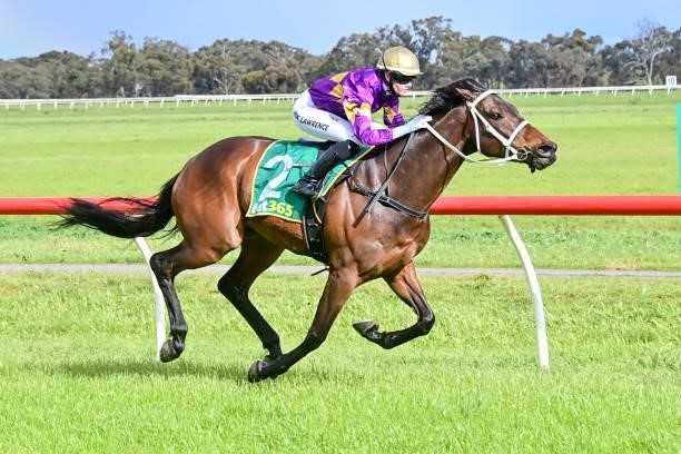 Equine Philosopher ridden by Mikaela Lawrence wins the Buloke Plumbing 0 - 58 Handicap at Donald Racecourse on September 12, 2021 in Donald,...
