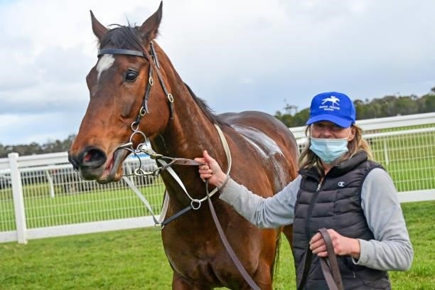 Ivy Eff after winning the Megelec Electrical Contractors 0 - 58 Handicap at Donald Racecourse on September 12, 2021 in Donald, Australia.