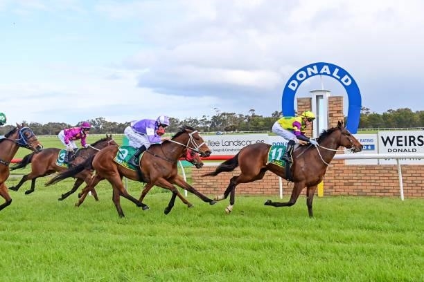 Ivy Eff ridden by Zac Spain wins the Megelec Electrical Contractors 0 - 58 Handicap at Donald Racecourse on September 12, 2021 in Donald, Australia.