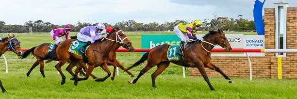 Ivy Eff ridden by Zac Spain wins the Megelec Electrical Contractors 0 - 58 Handicap at Donald Racecourse on September 12, 2021 in Donald, Australia.