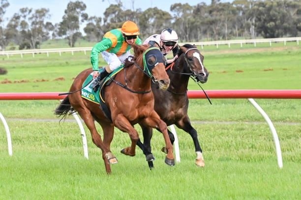 All Fairy Prince ridden by Craig Robertson wins the Donald Motor Lodge 0 - 58 Handicap at Donald Racecourse on September 12, 2021 in Donald,...