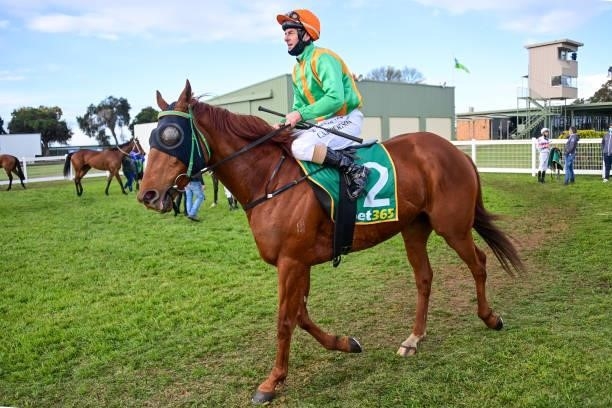 All Fairy Prince ridden by Craig Robertson returns to the mounting yard after winning the Donald Motor Lodge 0 - 58 Handicap at Donald Racecourse on...