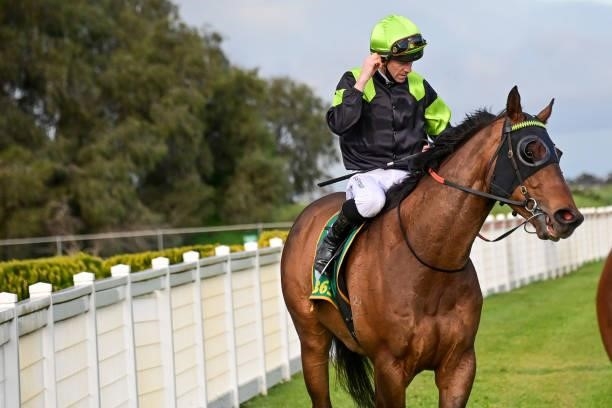 Hughes The Boss ridden by John Allen returns to the mounting yard after winning the Goldacres 0 - 58 Handicap at Donald Racecourse on September 12,...