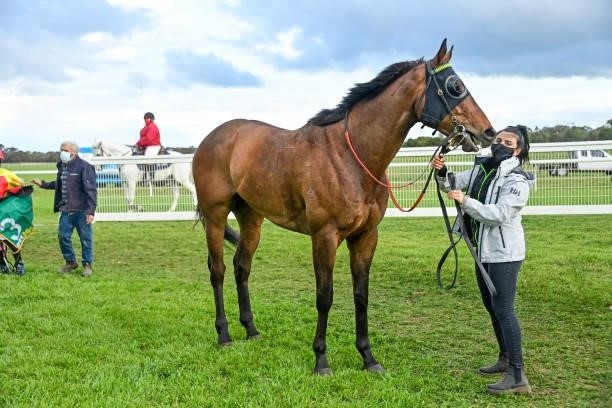 Hughes The Boss after winning the Goldacres 0 - 58 Handicap at Donald Racecourse on September 12, 2021 in Donald, Australia.