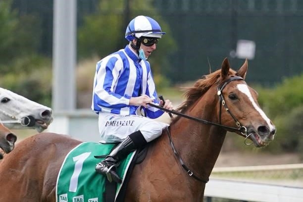 Rudimental ridden by Damian Lane returns to the mounting yard after winning the OBrien Real Estate BM64 Handicap at Cranbourne Racecourse on...
