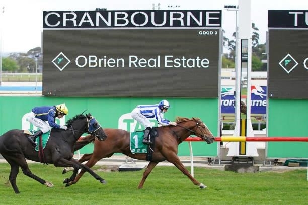 Rudimental ridden by Damian Lane wins the OBrien Real Estate BM64 Handicap at Cranbourne Racecourse on September 12, 2021 in Cranbourne, Australia.