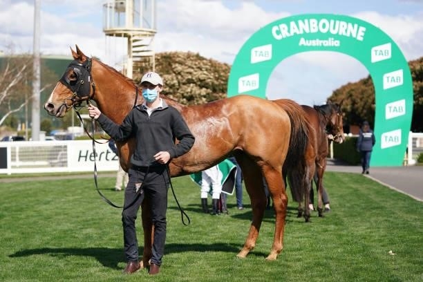 Indictment after winning the AFC - Peter & Lavella Darose 4YO+ Maiden Plate at Cranbourne Racecourse on September 12, 2021 in Cranbourne, Australia.