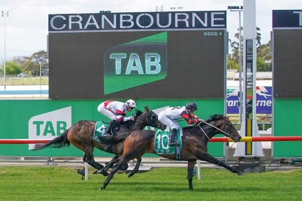 Gunstock ridden by Liam Riordan wins the TAB Cranbourne Cup ? Sat 13 November Maiden Plate at Cranbourne Racecourse on September 12, 2021 in...