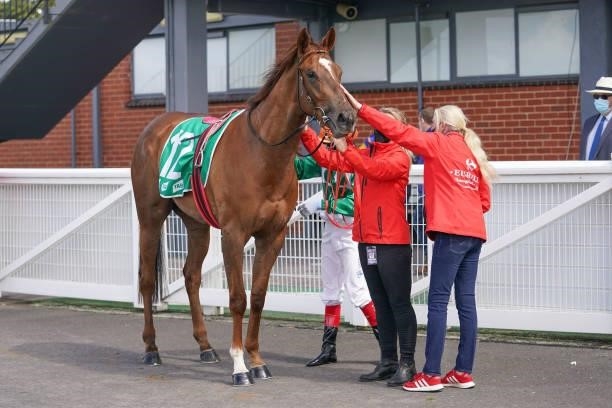 Cuban Link ridden by Craig Williams returns to the mounting yard after winning the Skye Excavations Maiden Plate at Cranbourne Racecourse on...